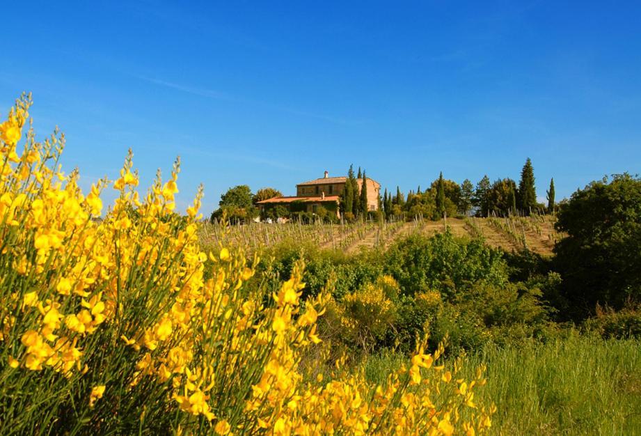 Tenuta Santagnese Villa Montepulciano Stazione Buitenkant foto