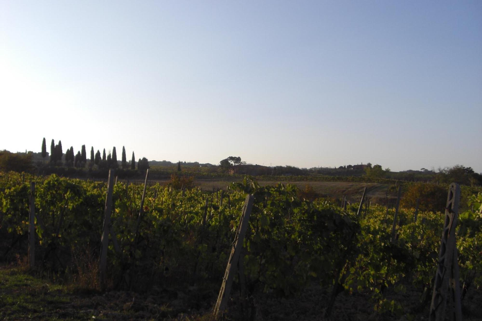 Tenuta Santagnese Villa Montepulciano Stazione Buitenkant foto