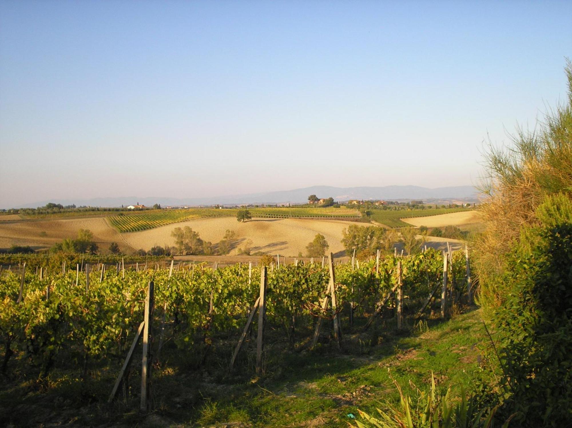 Tenuta Santagnese Montepulciano Stazione Buitenkant foto