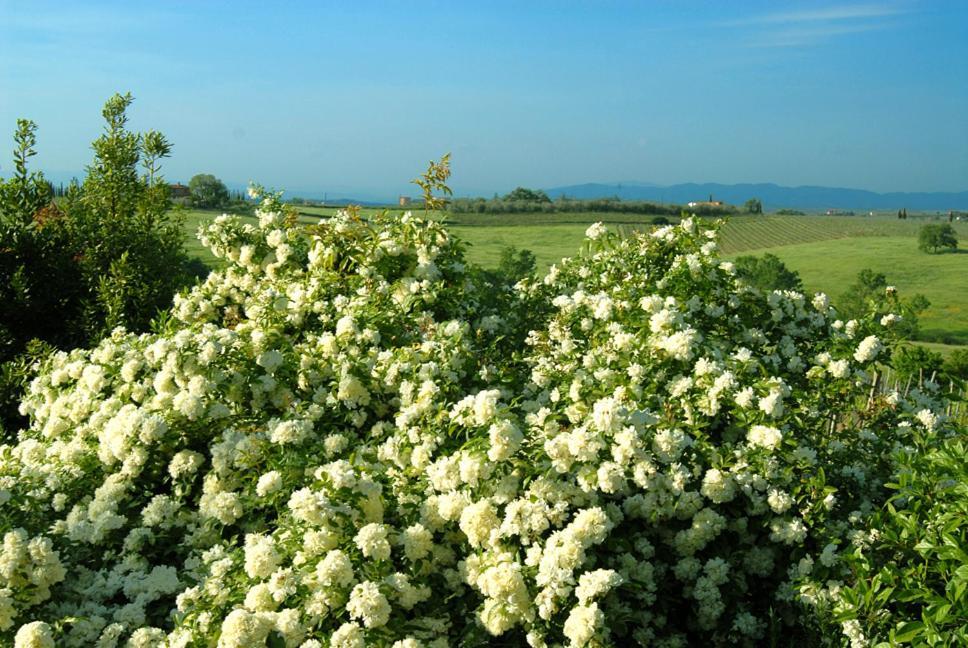 Tenuta Santagnese Villa Montepulciano Stazione Buitenkant foto