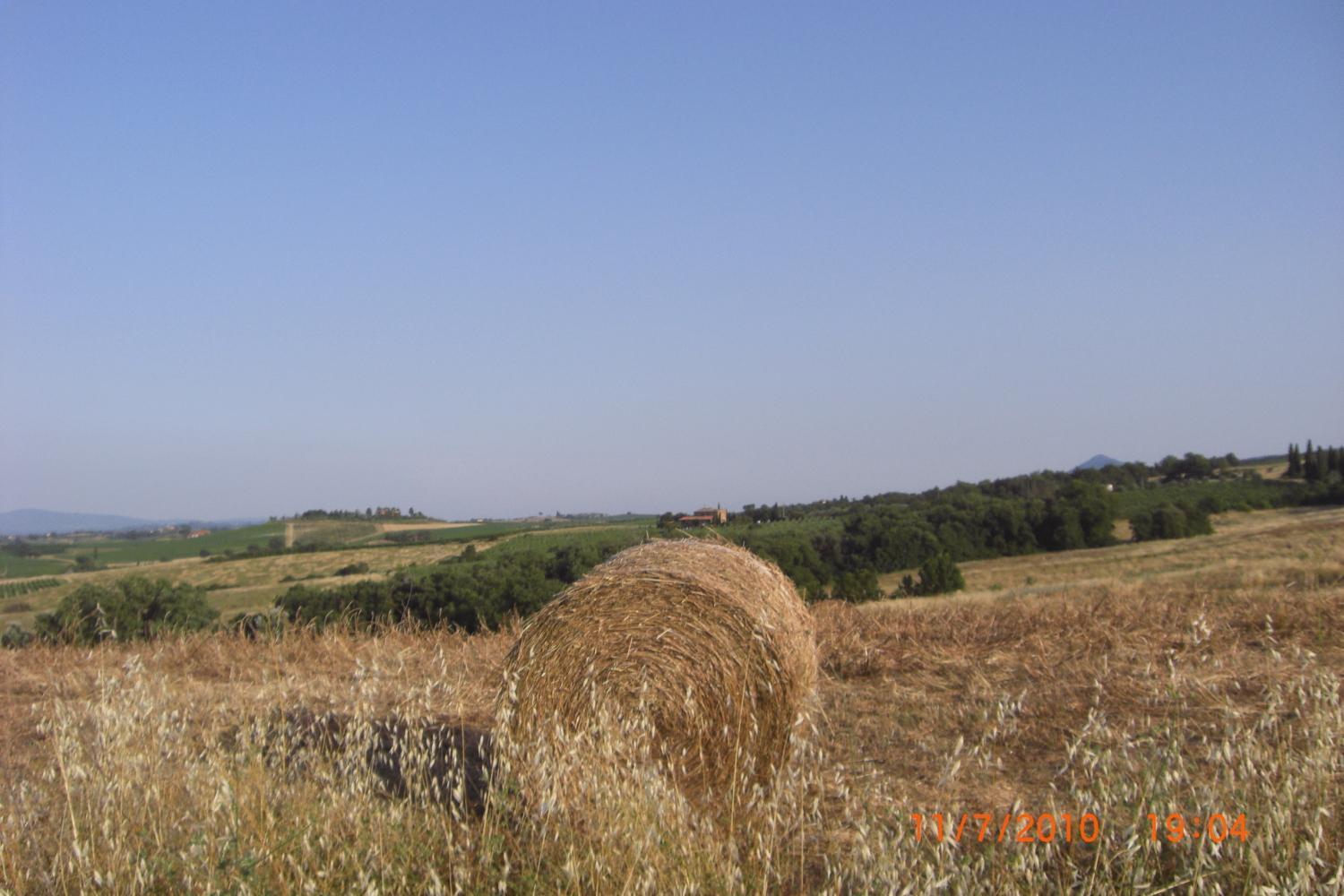 Tenuta Santagnese Montepulciano Stazione Buitenkant foto